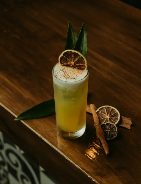A tall cocktail with dried citrus