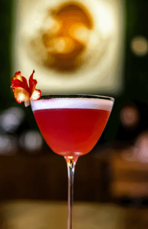 A red cocktail with a flower garnish